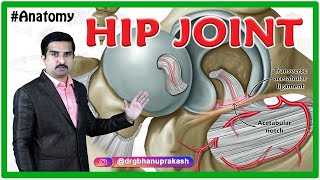 HIP Joint Anatomy Animation : Ligaments, Movements, Blood supply, Nerve supply and Hip Dislocation