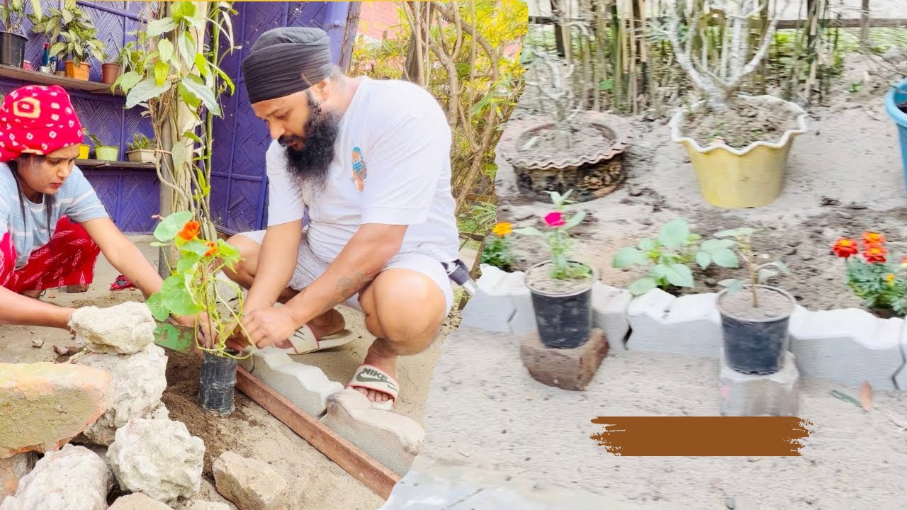 Apne Garden mein Lagaye😊Hamne naye Phool￼🌸🌻🌹 ￼