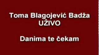 Toma Blagojevic Badja  Danima te cekam