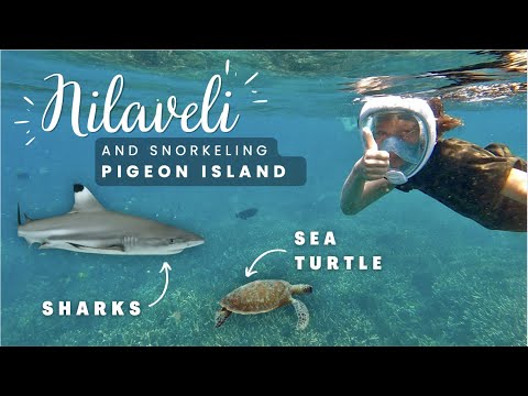 Relaxing time at Nilaveli beach and snorkeling at Pigeon Island | Sri Lanka by tuktuk with kids 9