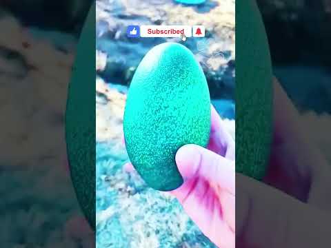 رجل يكتشف بيضة غريبة في حظيرة دجاجه