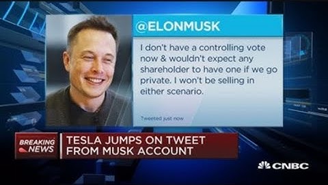 Was Elon Musk