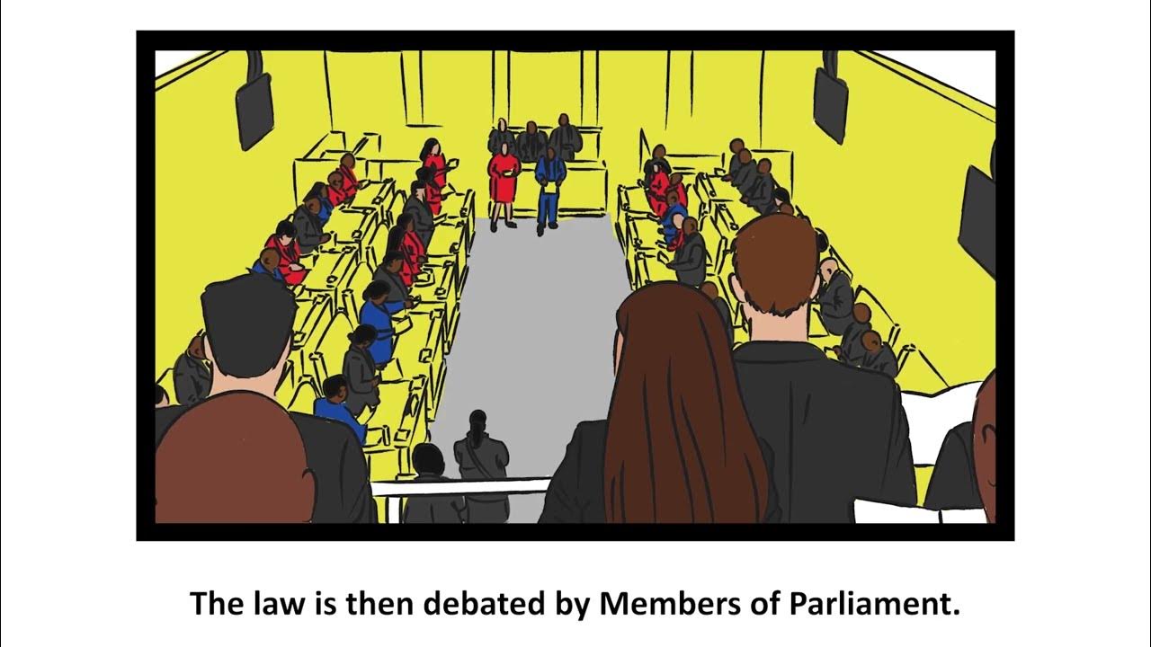 Ep 3 The Parliament's constitutional mandate How laws are made YouTube