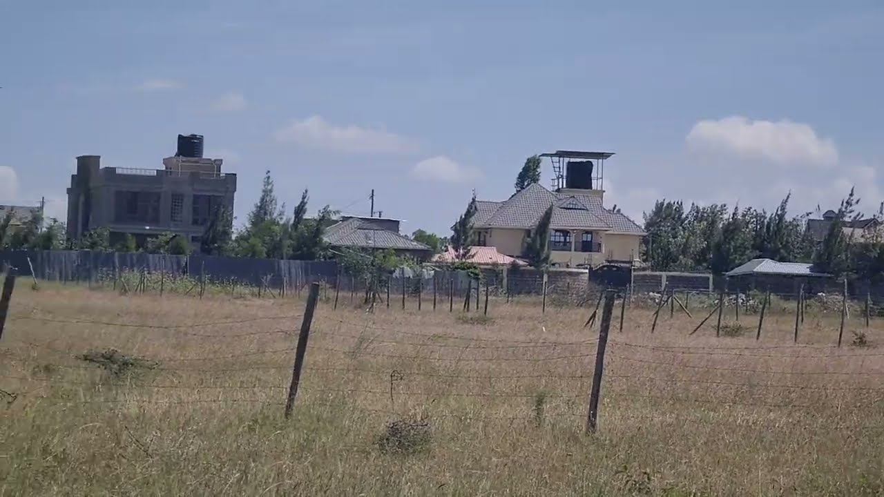 Китенгела Милимани — новая Карен?