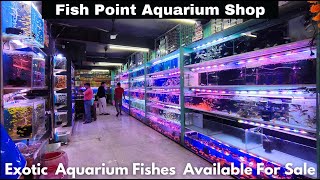 Aquarium Fishes For Sale At Fish Point Sarojini Nagar Delhi | Imported Exotic Fishes In Delhi