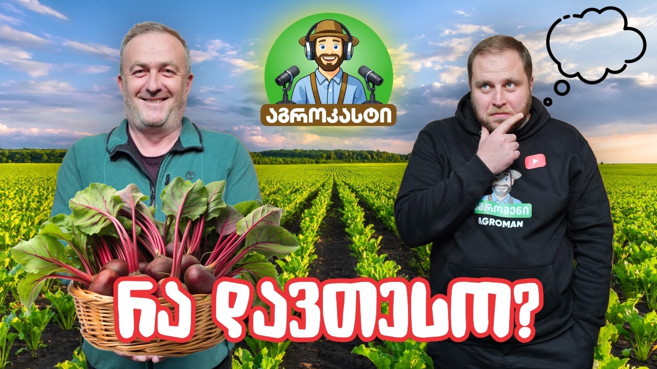 რა უნდა ვიცოდეთ ბოსტნეულის მოყვანისას | #აგროკასტი