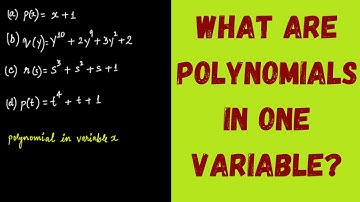 What are Polynomials in One Variable? || Polynomials || Grade 9