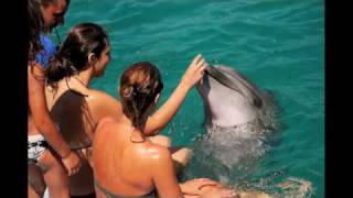 Bodrum 2010