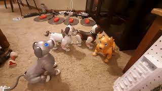 Four Sony Aibo ERS 1000s