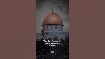 دع أصابعك تشهد لك وأكتب ماتؤجر عليه 💬القارئ : #محمد_دنديس #quran #islam #القران_الكريم #تلاوات