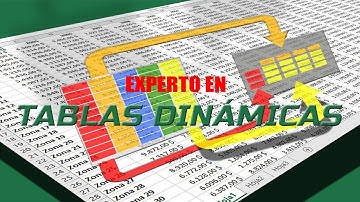 Experto en Tablas Dinámicas - Importación de datos desde archivo de texto