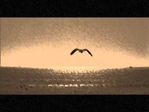At Your Side Video