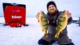 Ice Fishing JUMBO Perch on Lake Gogebic! (2 lb Perch)