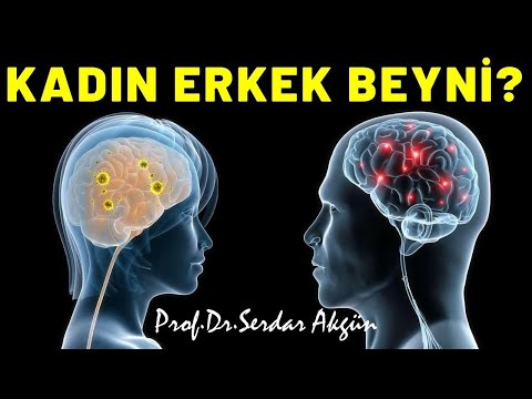 Kadın Beyni, Erkek Beyni, 10 Temel Fark, Sağlık Videoları, Serdar Akgün