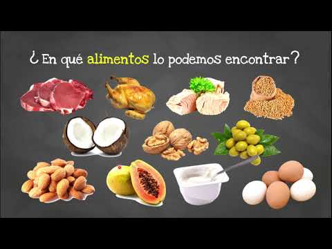 Vídeo: Què és una organització de línia?