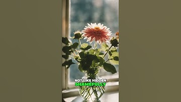 Healing is Not a Performance  Embracing Vulnerability #EmbraceVulnerability #HealingJourney #podcast