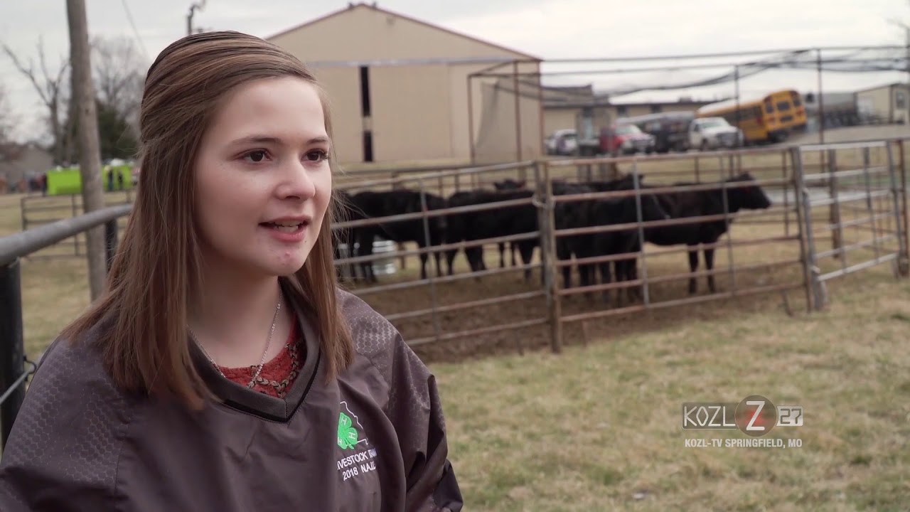 National Winning 4-H Livestock Judging Team