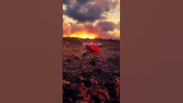 سورة القيامة القارئ علي ابراهيم