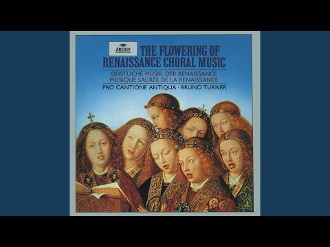 Immagine di Motets: Salve Regina