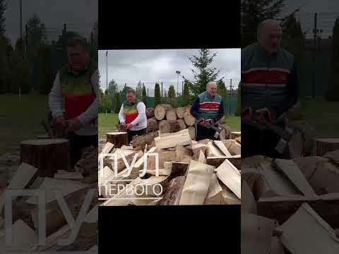 Видео: Есть ли щетка для бутылок хорошими дровами?