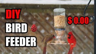 DIY bird feeder- recycled material $0 by Ladybug Adventures 337 views 1 year ago 6 minutes, 40 seconds