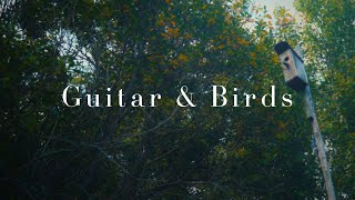 Peaceful Relaxing Guitar Music Work Study Focus 1 Hour