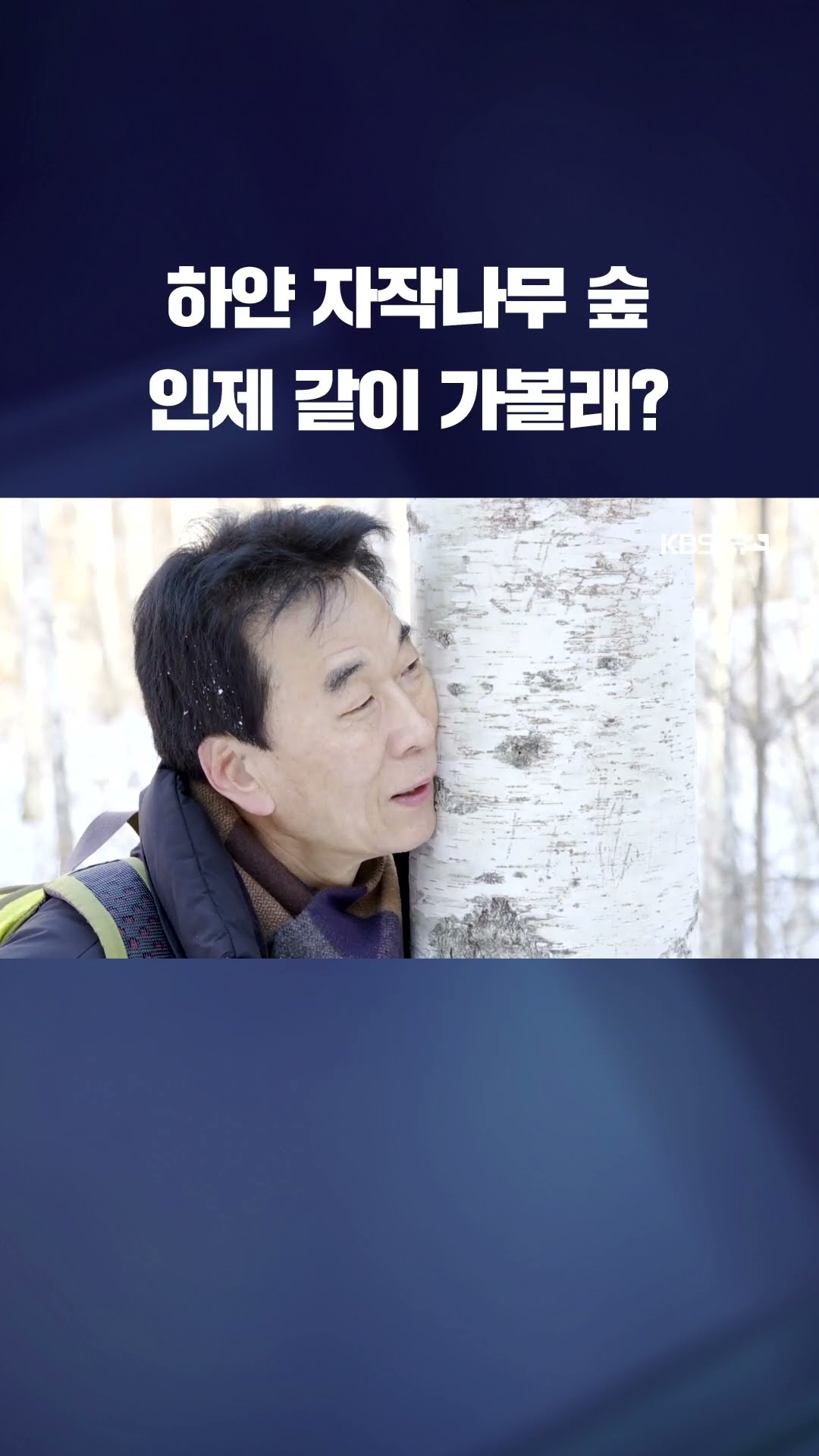 강원도 인제에 가면…겨울 풍경의 정수 '하얀 자작나무 숲' 장관 #shorts / KBS