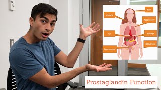 Prostaglandins - Role in the Human Body