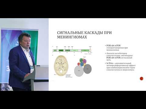 Видео: Соображения при разработке систем для крупномасштабного производства человеческих кардиомиоцитов из плюрипотентных стволовых клеток