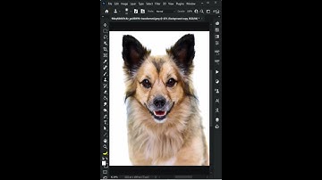 Clone Source - Short Photoshop Tutorial