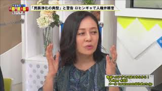 Japanese journalist Arimoto slams BBC and Japanese media for Rohingya coverage