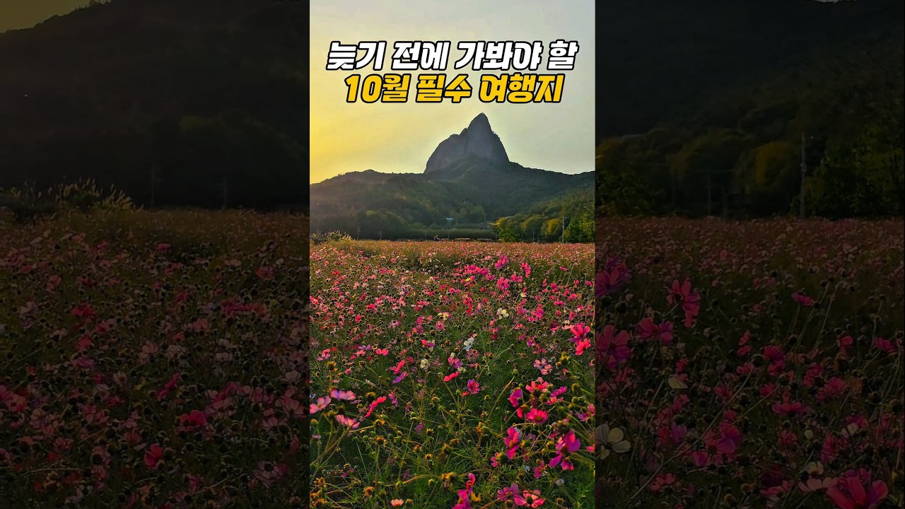 늦기 전에 가봐야 할 10월 필수 여행지 /국내여행추천 /10월 국내여행지 추천 /가을여행지 /가을꽃 축제 /꽃구경 /진안여행 /전북여행 #10월국내여행지추천 #국내여행 #가을여행