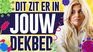 Waarom Wasbare Dekbedden De Toekomst Zijn Zelesta