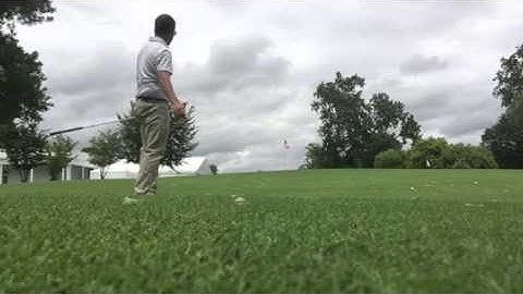 Explanations and Demonstrations, Feedback and Interaction