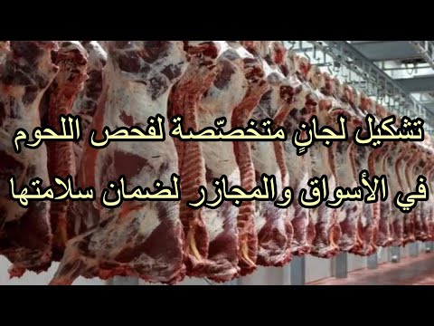 تشكيل لجان متخص صة لفحص اللحوم في الأسواق والمجازر لضمان سلامتها