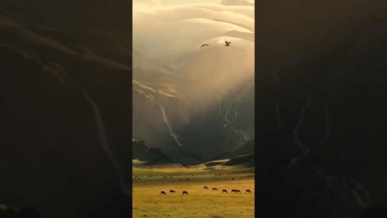 “This will calm your mind” 