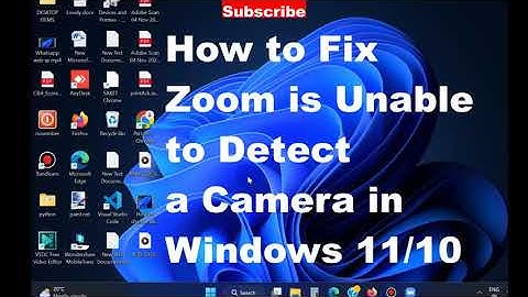 Zoom-app kan geen camera detecteren op Windows 11/10
