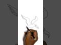 Albatross drawings #art #artjanag #trending #viral #shorts #shortvideo #trendingshorts