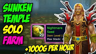 How ALL CLASSES Can SOLO Farm Sunken Temple! (Mage & Hunter BiS)