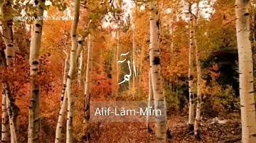 الم تنزيل الكتاب لا ريب فيه من رب العالمين"سوره السجده"