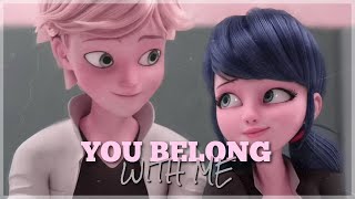 you belong with me || miraculous FMV