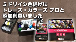 ミドリイシ色揚げのために、マルチテストキット トレースカラーズ プロと添加剤を買いました！ミドリイシは2つなので、添加剤は必要ないかもですが。。