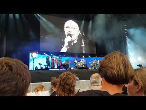 Phil Collins -