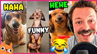 Funniest Talking Wiener Dogs 🌭🐶 I Dare You Not To Laugh
