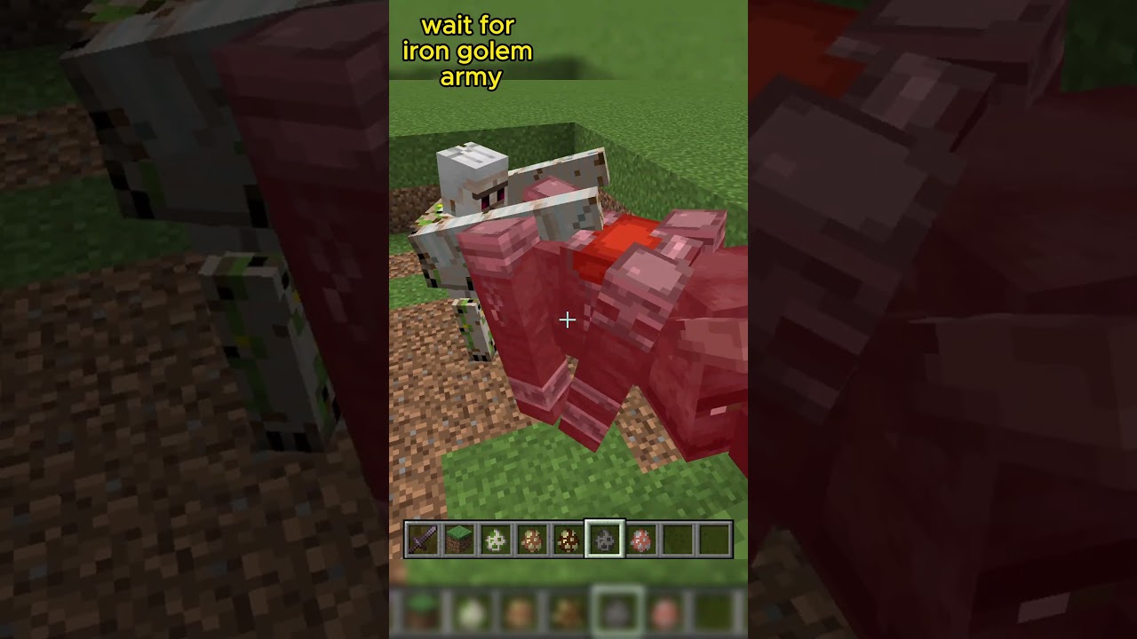Iron golem VS ???😎😱 #minecraftshorts #irongolem #warden #wardenminecraft #minecraftvillagers #1v1