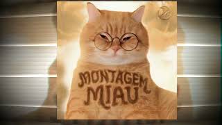 Montagem Miau Slowed Extended