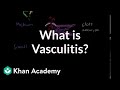 What is vasculitis? | Circulatory System and Disease | NCLEX-RN | Khan Academy