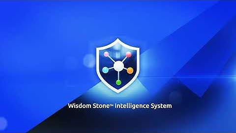 The WISDOM STONE  - Extracting executable Intelligence from BIG DATA