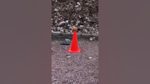 Slow-Motion Fruit Explosion