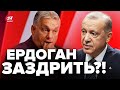 😡Орбан заразив Ердогана! / Президент Туреччини зробив ДИВНУ ЗАЯВУ про наш вступ до ЄС